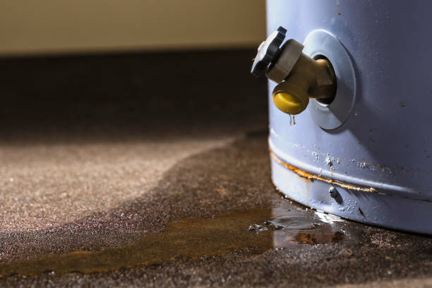 Best Mold removal after water damage  in Bozeman, MT