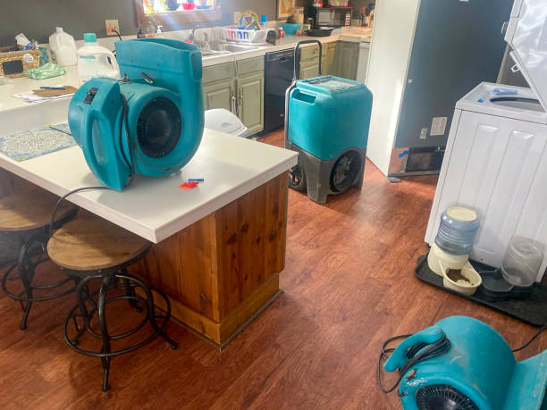 Best Water damage restoration company  in Bozeman, MT