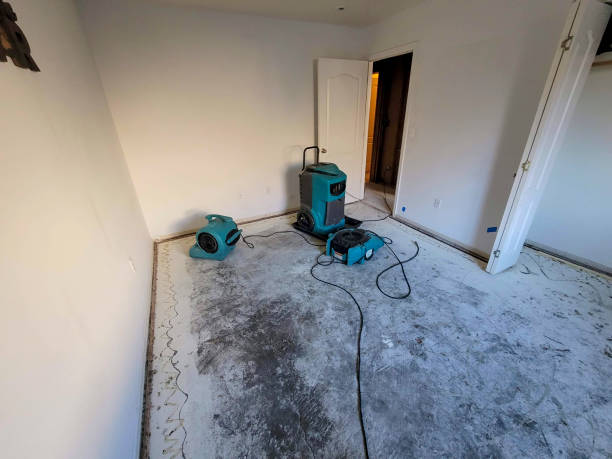 Best Flood damage cleanup  in Bozeman, MT