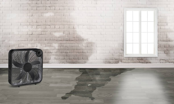 Water damage restoration process in Bozeman, MT