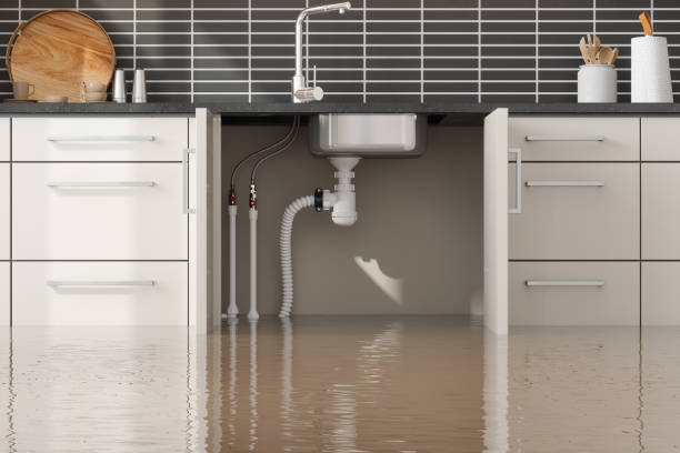 Best Fire Damage Restoration  in Bozeman, MT