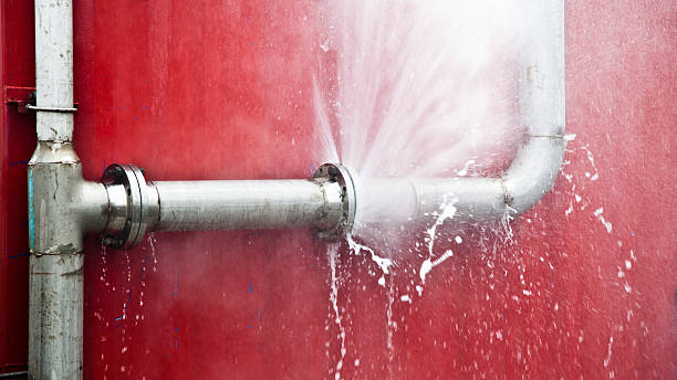 Best Carpet water damage restoration  in Bozeman, MT