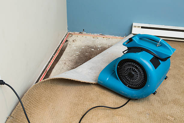 Best Carpet water damage restoration  in Bozeman, MT